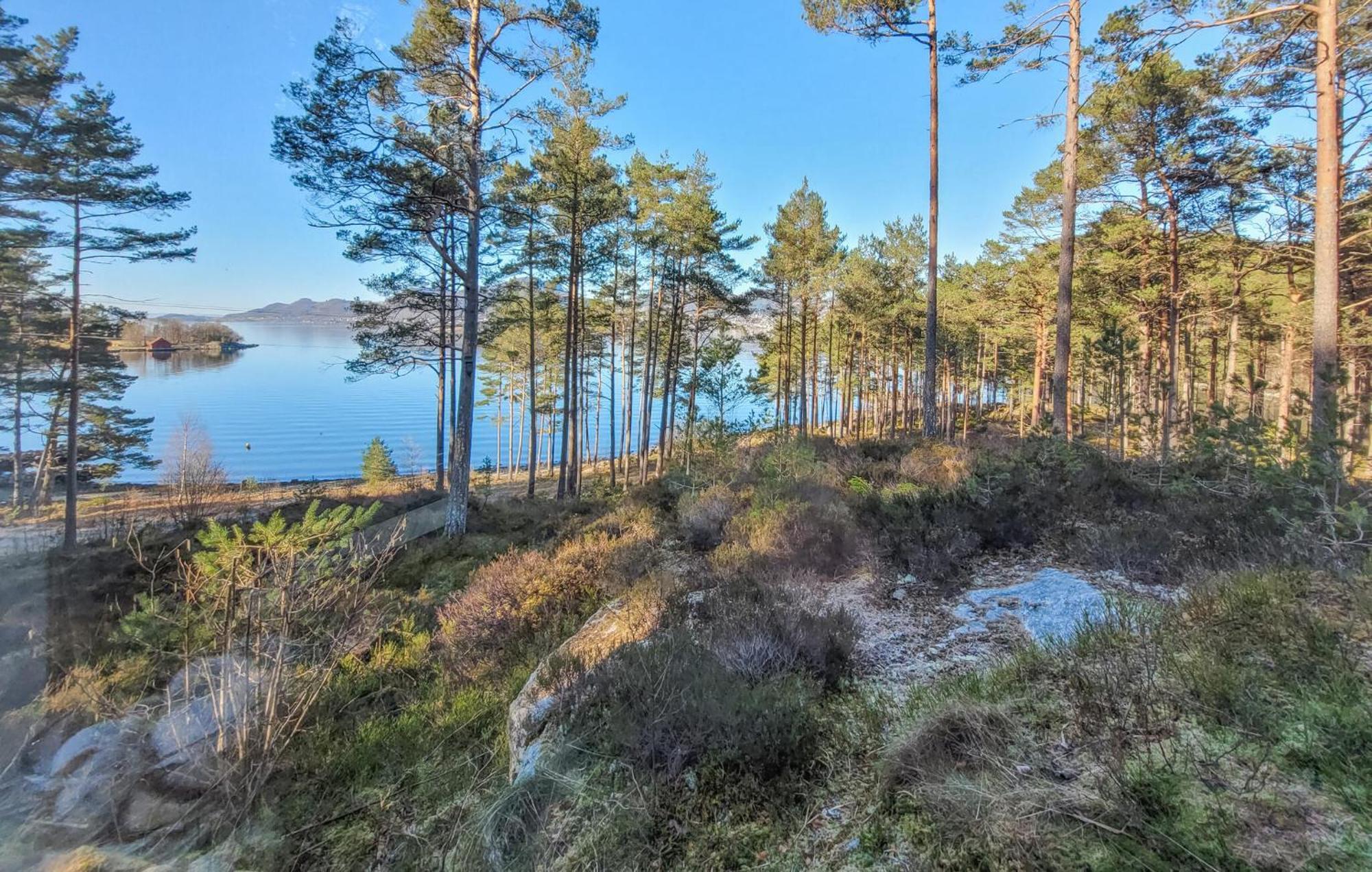 Gorgeous Home In Jorpeland With House Sea View Εξωτερικό φωτογραφία